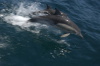 DSC_1543.jpg