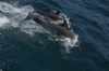 DSC_1544.jpg