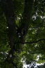 DSC_3940.jpg