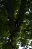 DSC_3941.jpg