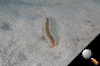 DSC_5546.jpg