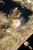 DSC_5548.jpg