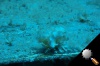 DSC_5557.jpg
