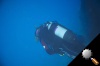 DSC_5594.jpg