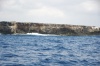 DSC_2212.jpg