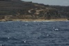 DSC_2224.jpg