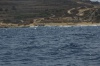 DSC_2225.jpg