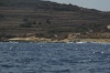 DSC_2226.jpg
