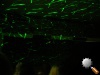 DSCN4575.jpg